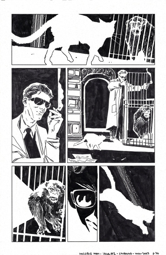 Invisible Man - #2 Page 20